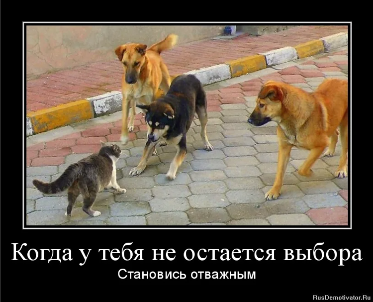 источник Яндекс-картинки