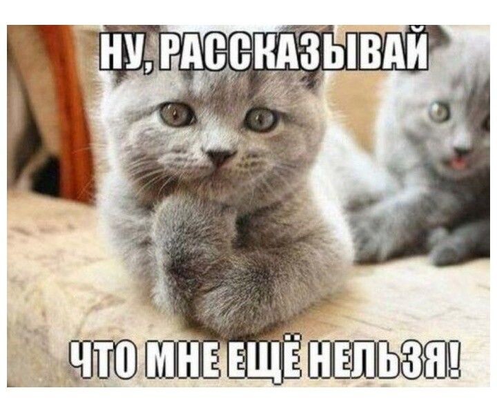 источник Яндекс-картинки