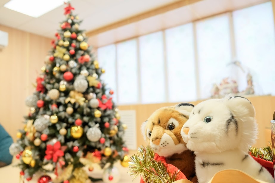 © Фото: ИД «Волгоградская правда» / архив.