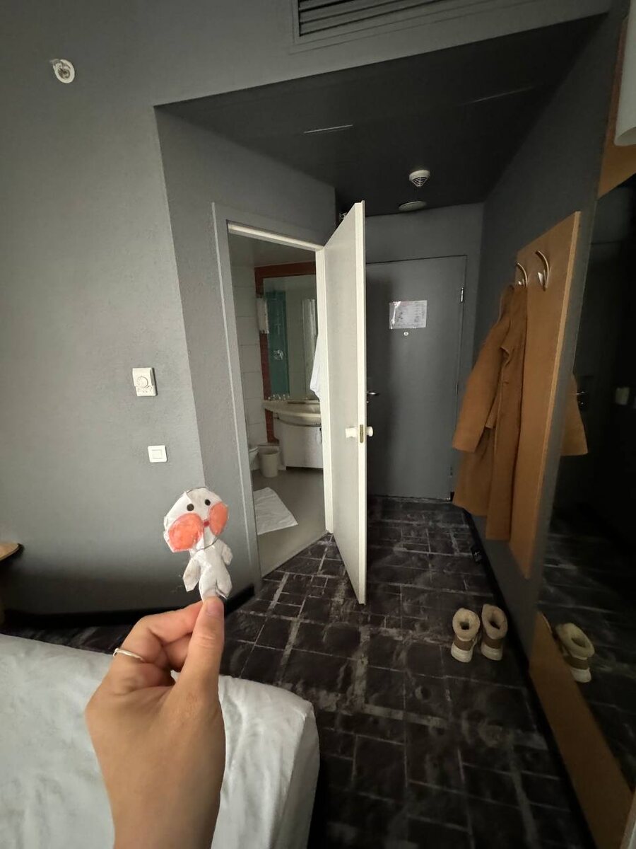 Путешествие уточки для дочки ) Кусочек номера в отеле и вид из окна 