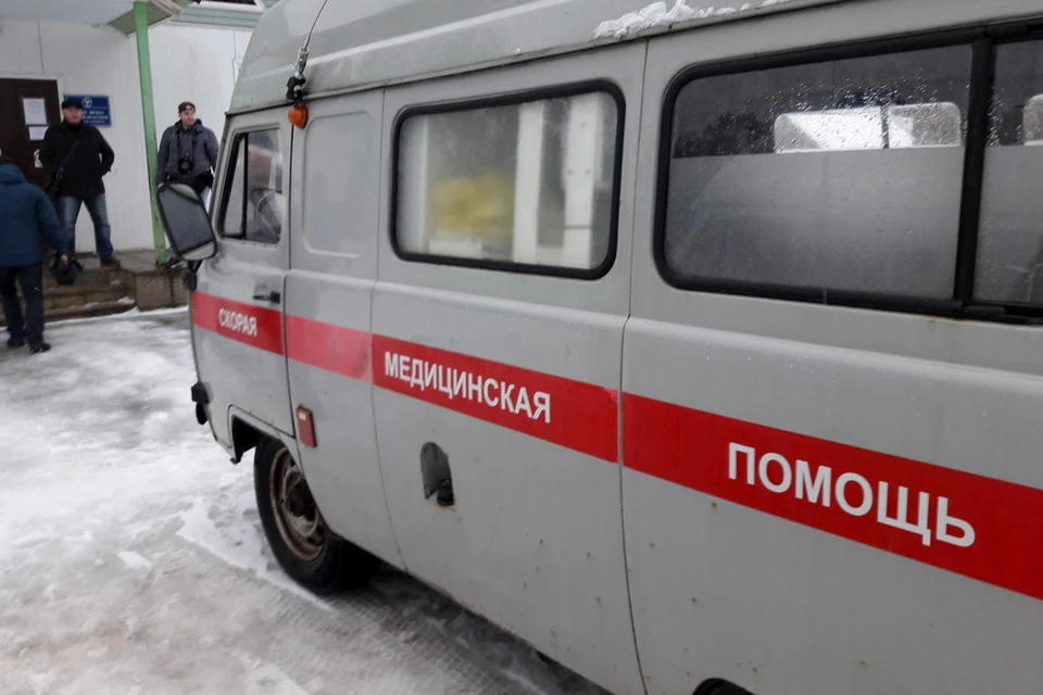 Источник: pskov.kp.ru