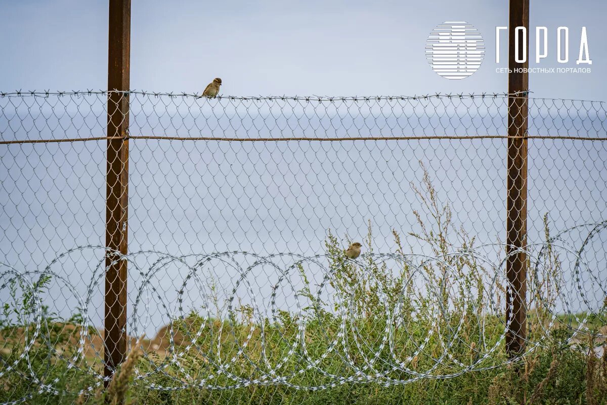 За нарушение большей части Кодекса можно оказаться за колючей проволокой.
За нарушение большей части Кодекса можно оказаться за колючей проволокой.
