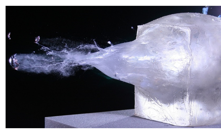 Баллистический желатин