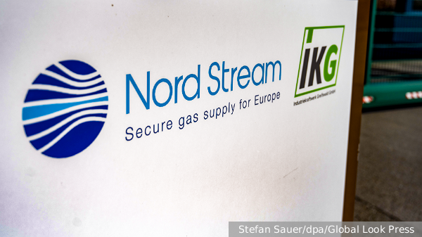     Фото: Stefan Sauer/dpa/Global Look Press   
 Текст: Евгения Караваева