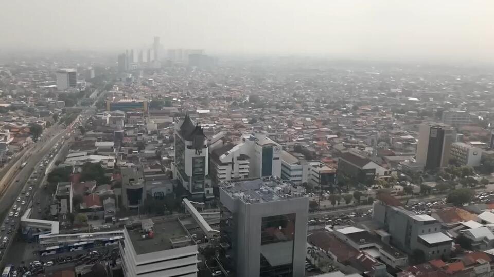 Фото: © Скриншот видео