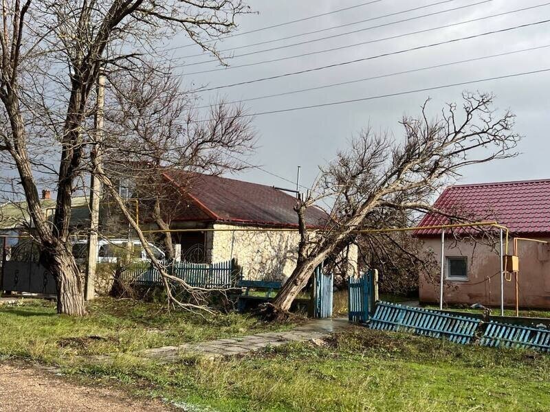 Фото: Наталья Сомова