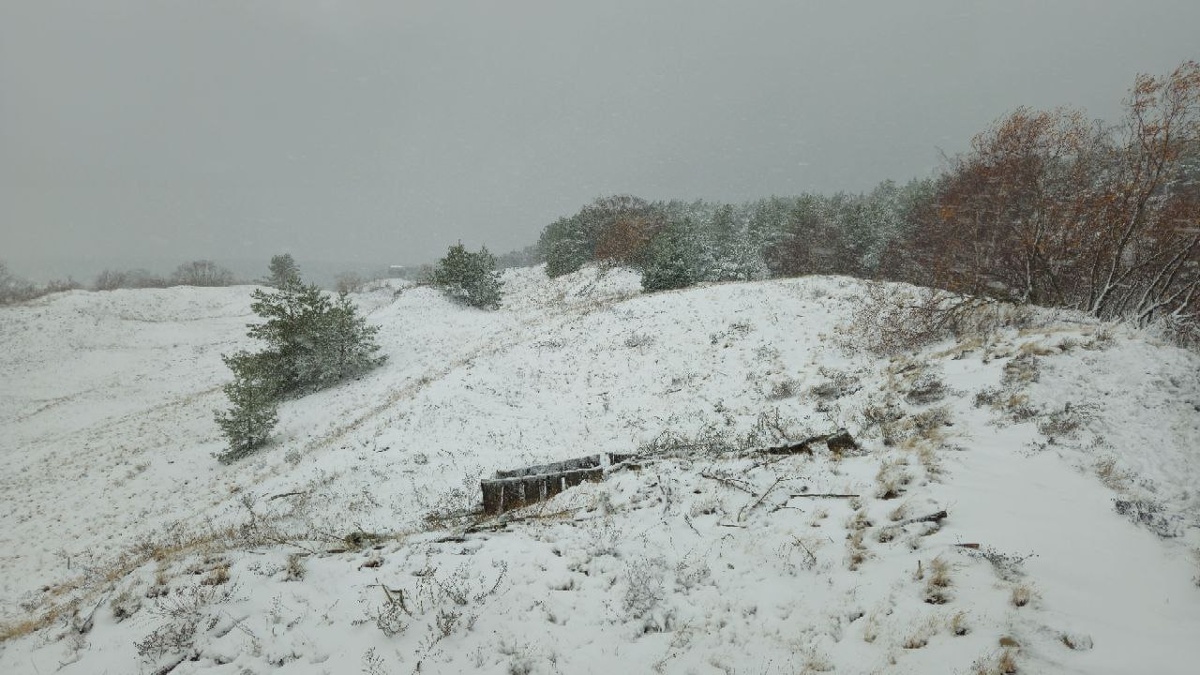    пресс-служба нацпарка «Куршская коса»