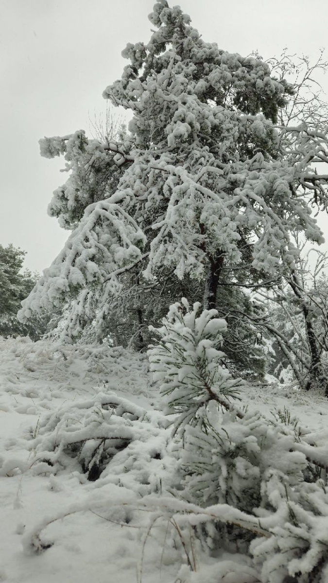    пресс-служба нацпарка «Куршская коса»