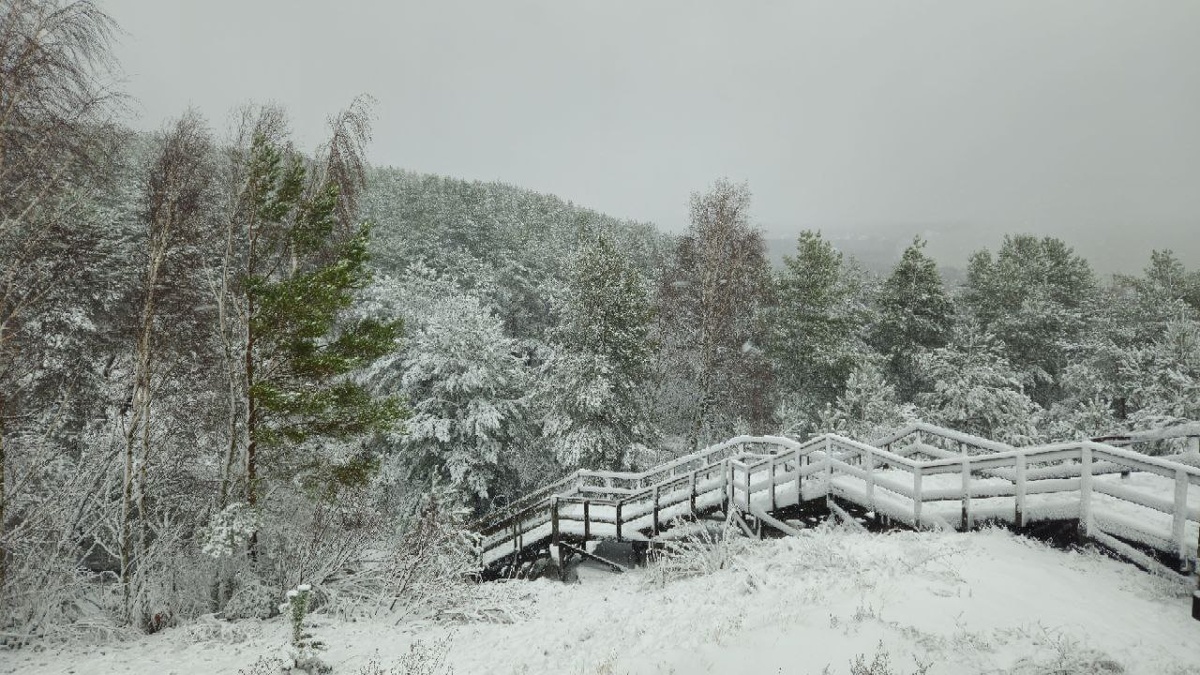    пресс-служба нацпарка «Куршская коса»