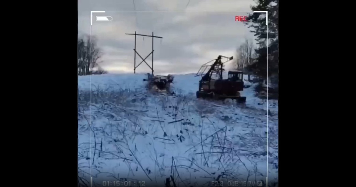    Фото: ПАО "Россети Северо-Запад"