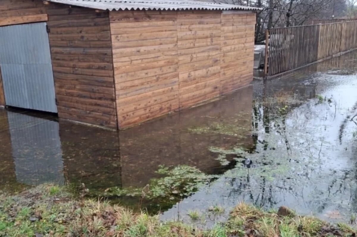    Жители деревни под Плавском жалуются на подтопление из-за утечки воды