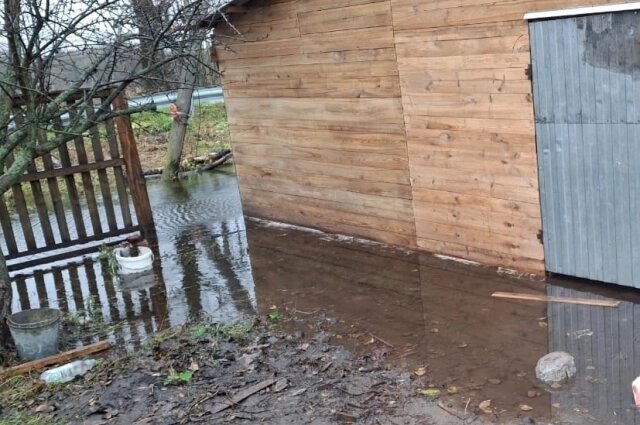    Фото: Из личного архивa/ Нелля Давитулиани