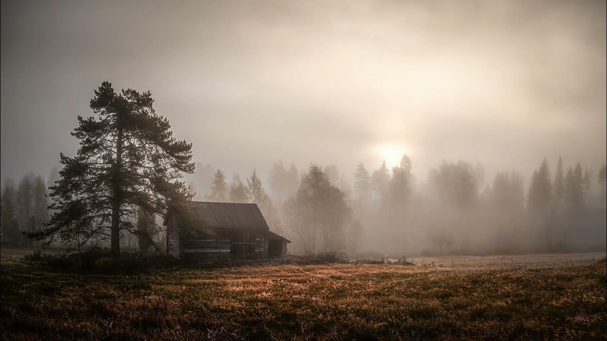 яндекс картинки