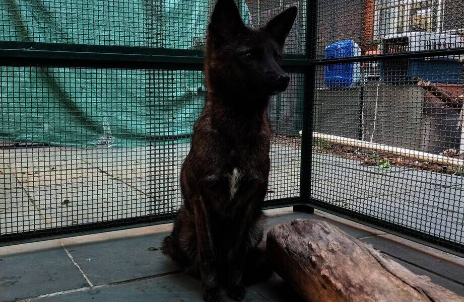    Фото: nationalgeographic.com