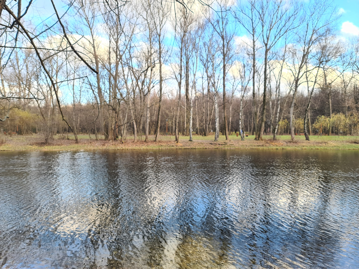 Осенний лес, фото автора