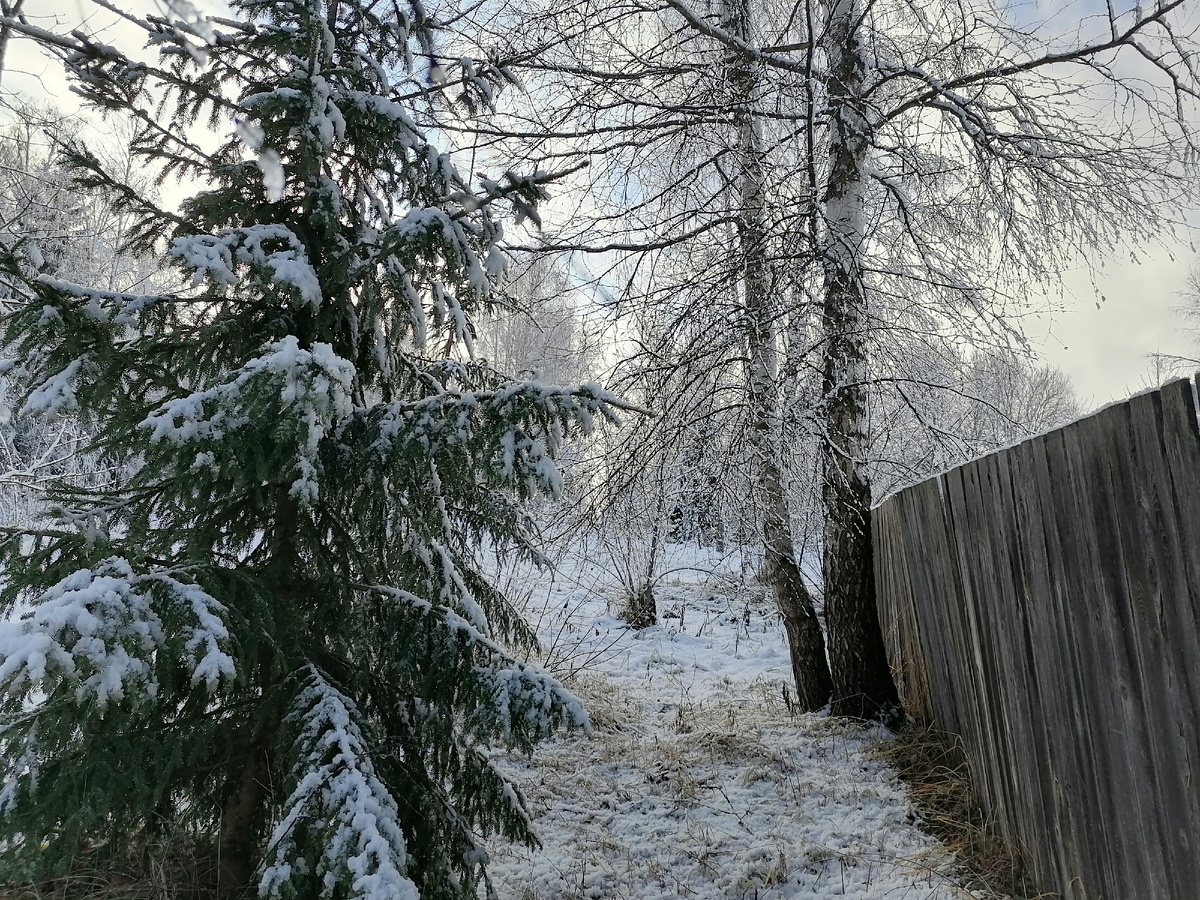 За калиткой