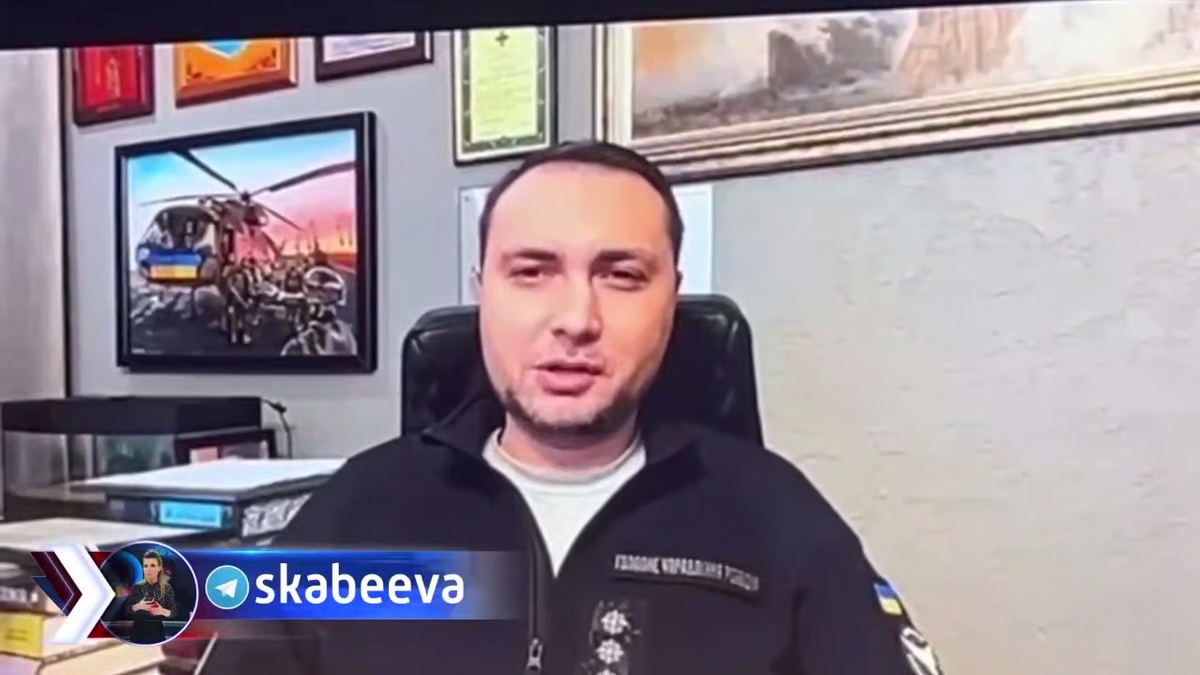    Фото: кадр с Telegram-канала Ольги Скабеевой