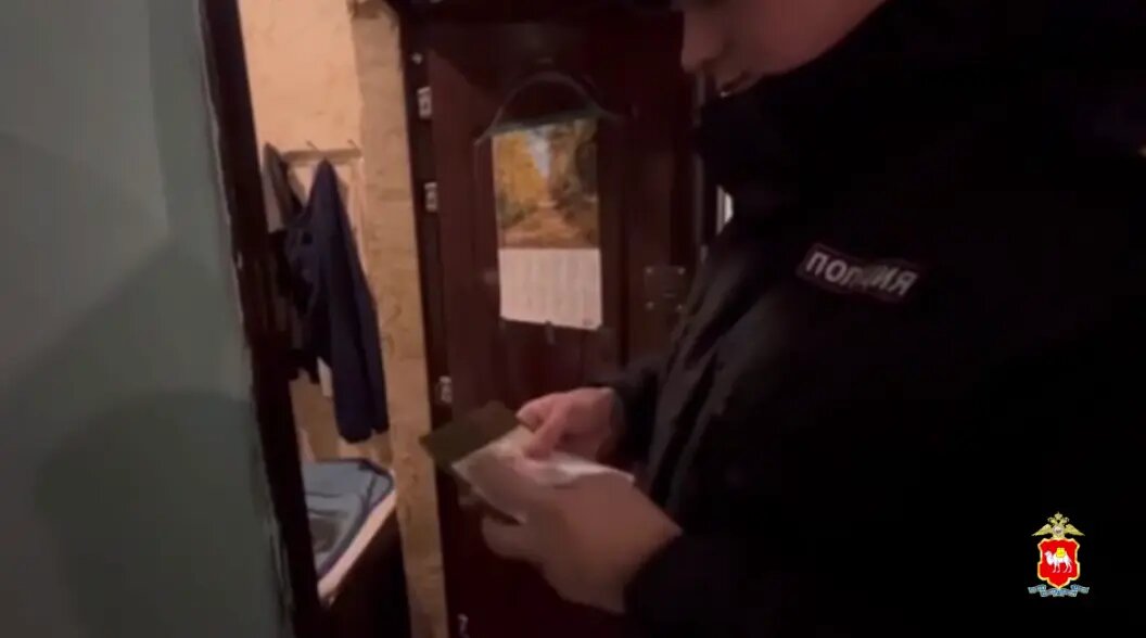    Скриншот видео ГУ МВД по Челябинской области.