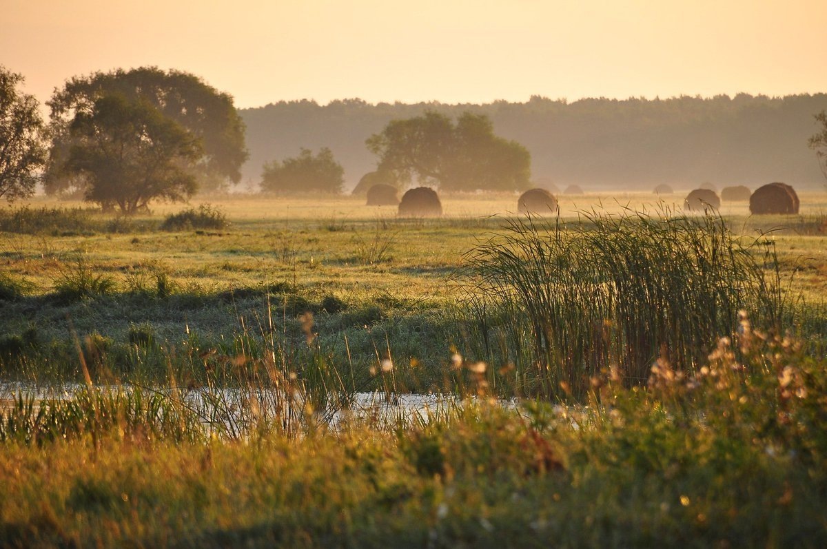 Река, лето, рассвет, счастье
