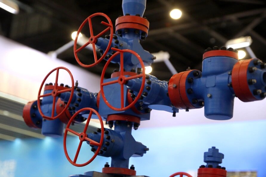    Maksim Konstantinov/Global Look Press