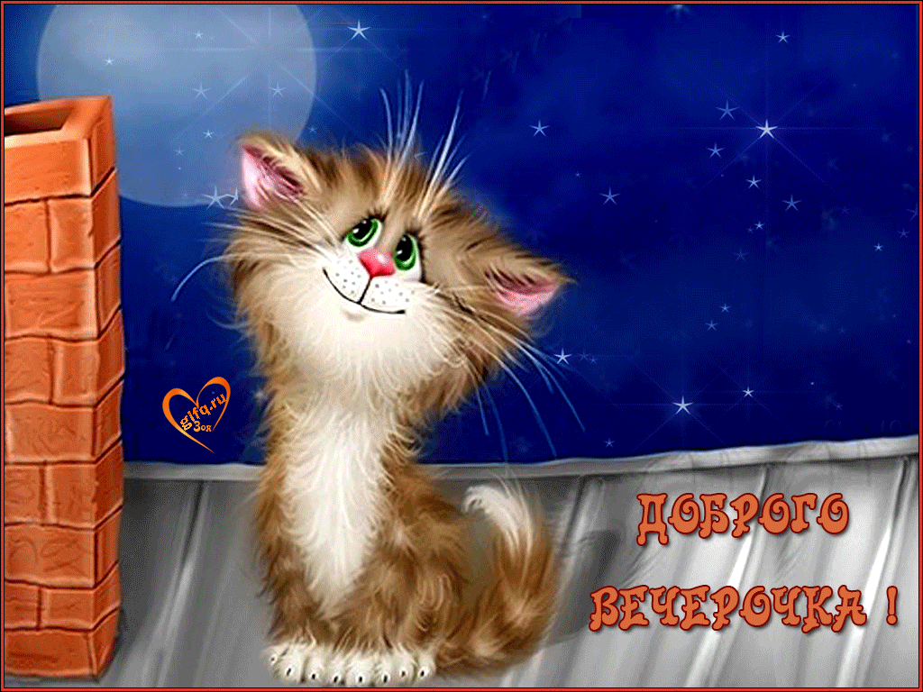 Яндекс картинки