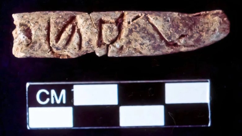 Фото: Яндекс картинки 