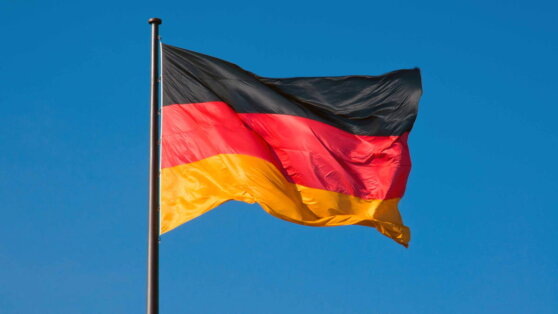    В Германии сравнили ситуации с ордерами МУС на арест Нетаньяху и Путина Виктория Шварц