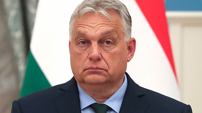    Фото: ИЗВЕСТИЯ/АНДРЕЙ ЭРШТРЕМ; 5-tv.ru