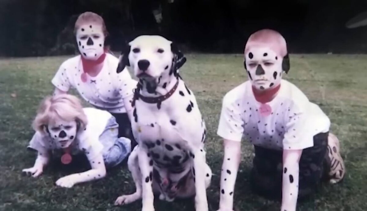 Источник Яндекс Картинки.