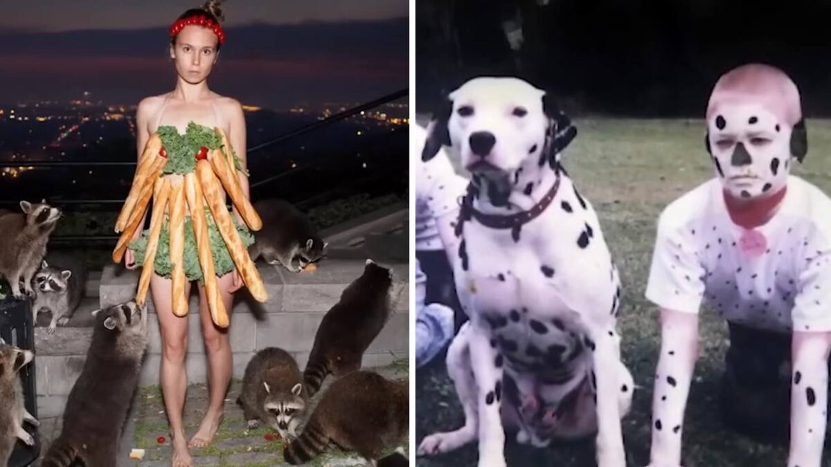 Источник Яндекс Картинки.