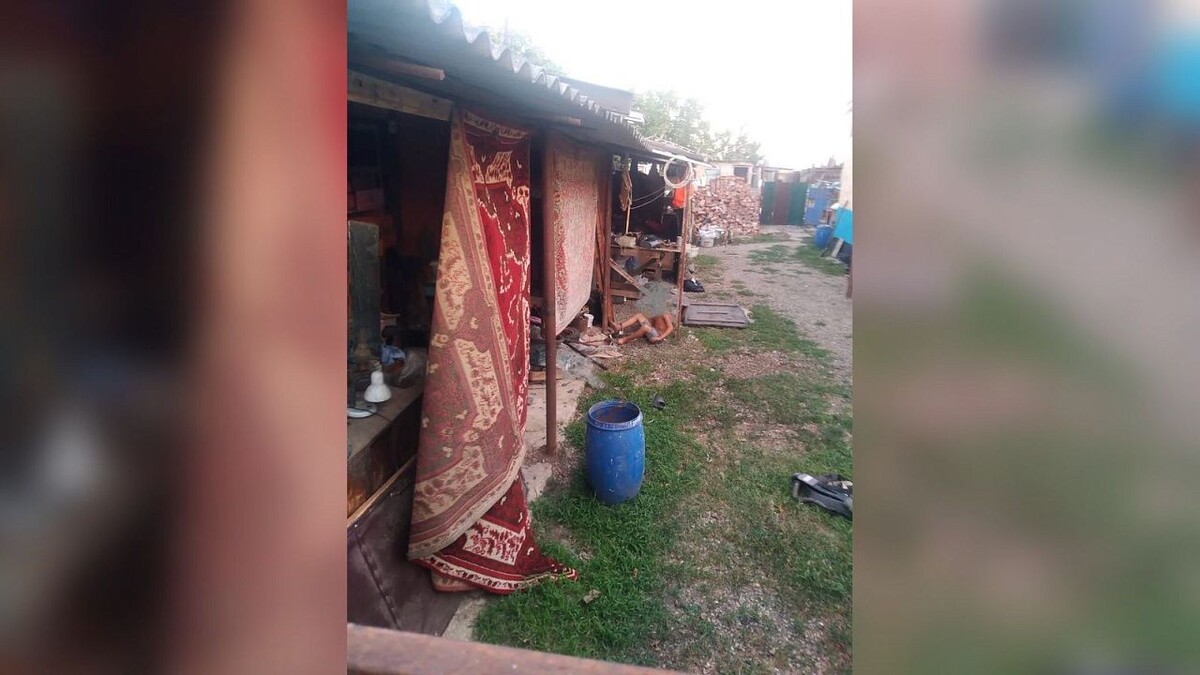    Фото: t.me/proc_23