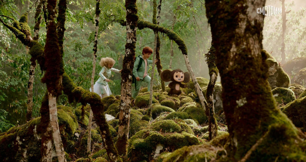    Фото: "Смотрим"