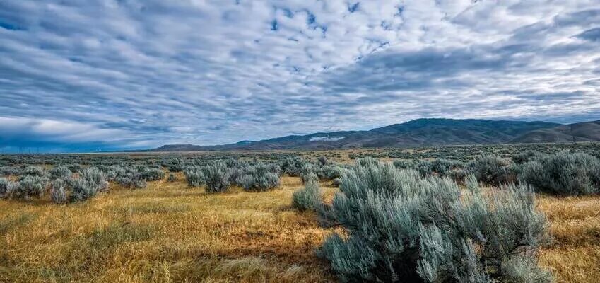 Автор фотоФото автора Brett Sayles