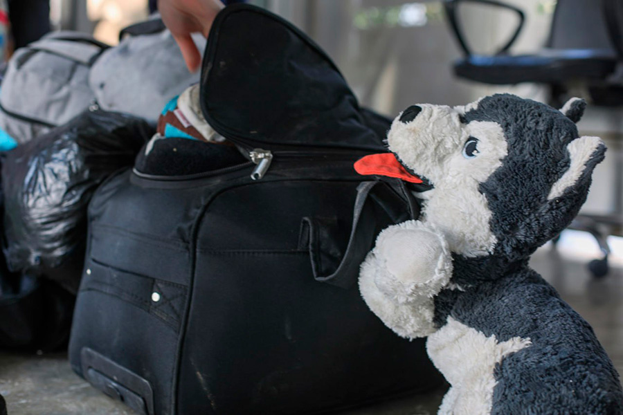    Мария Львова-Белова / Telegram