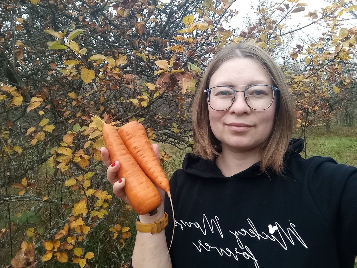 Сорт моркови "Карамелька"
Сорт моркови "Карамелька"
Морковь сорта Карамелька