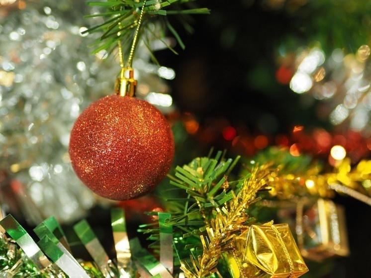     Фото: pxhere.com