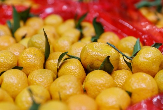    Как выбрать вкусные мандарины