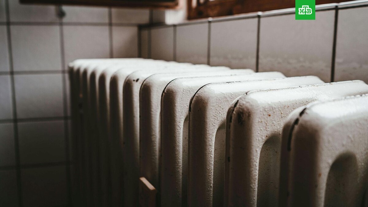    Фото: Julian Hochgesang / unsplash.com