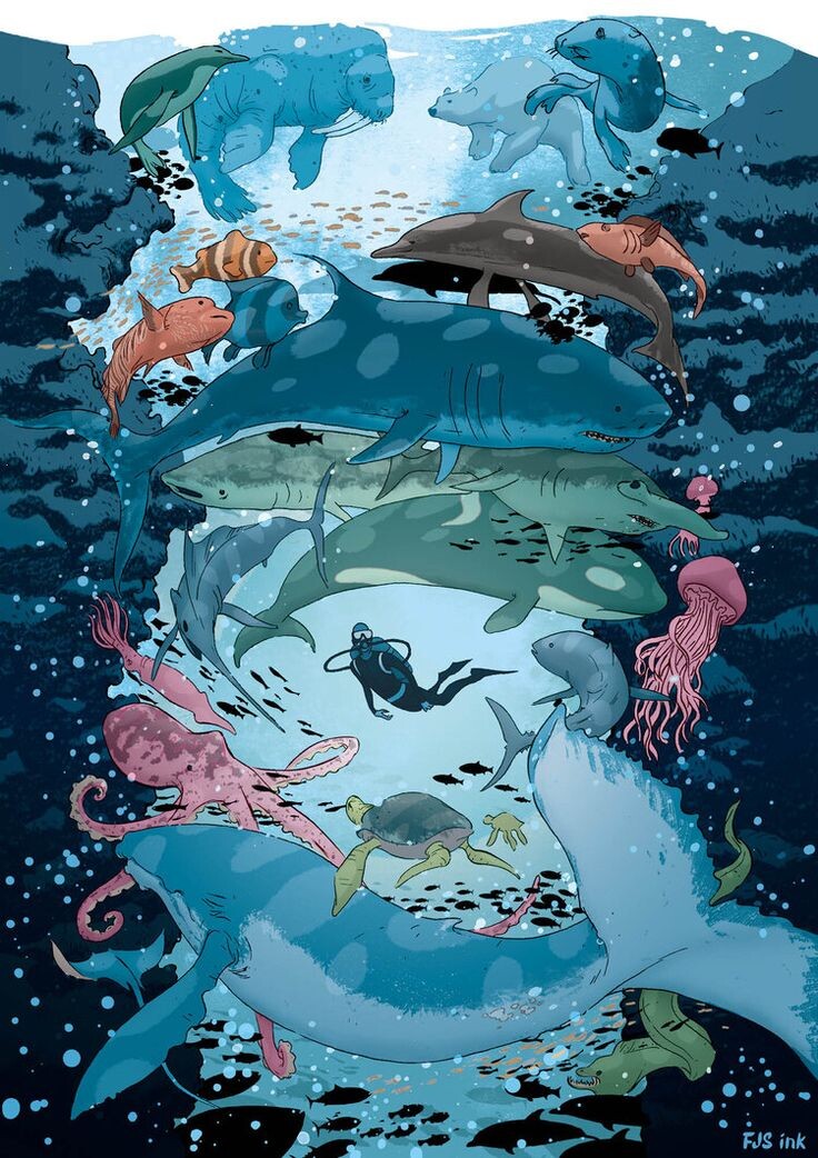 картинка из интернета