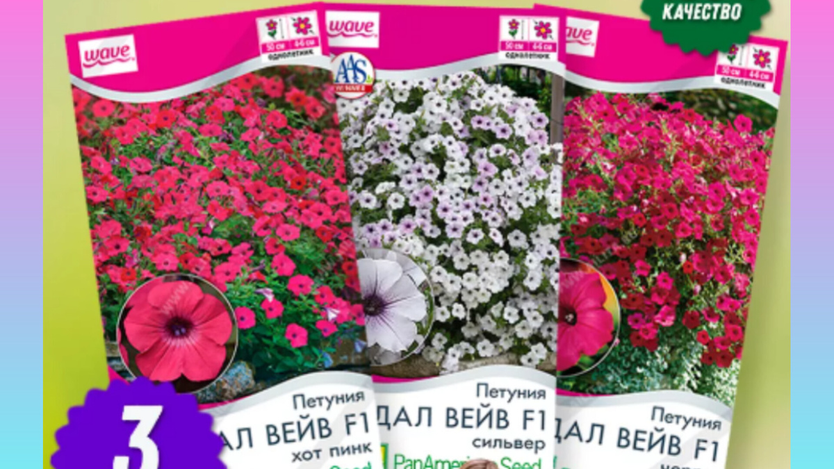 Пакетики семян дожидаются видео с их обзором. Скрин фото автора