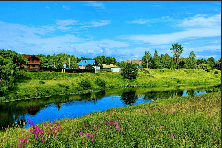 Яндекс. Картинки