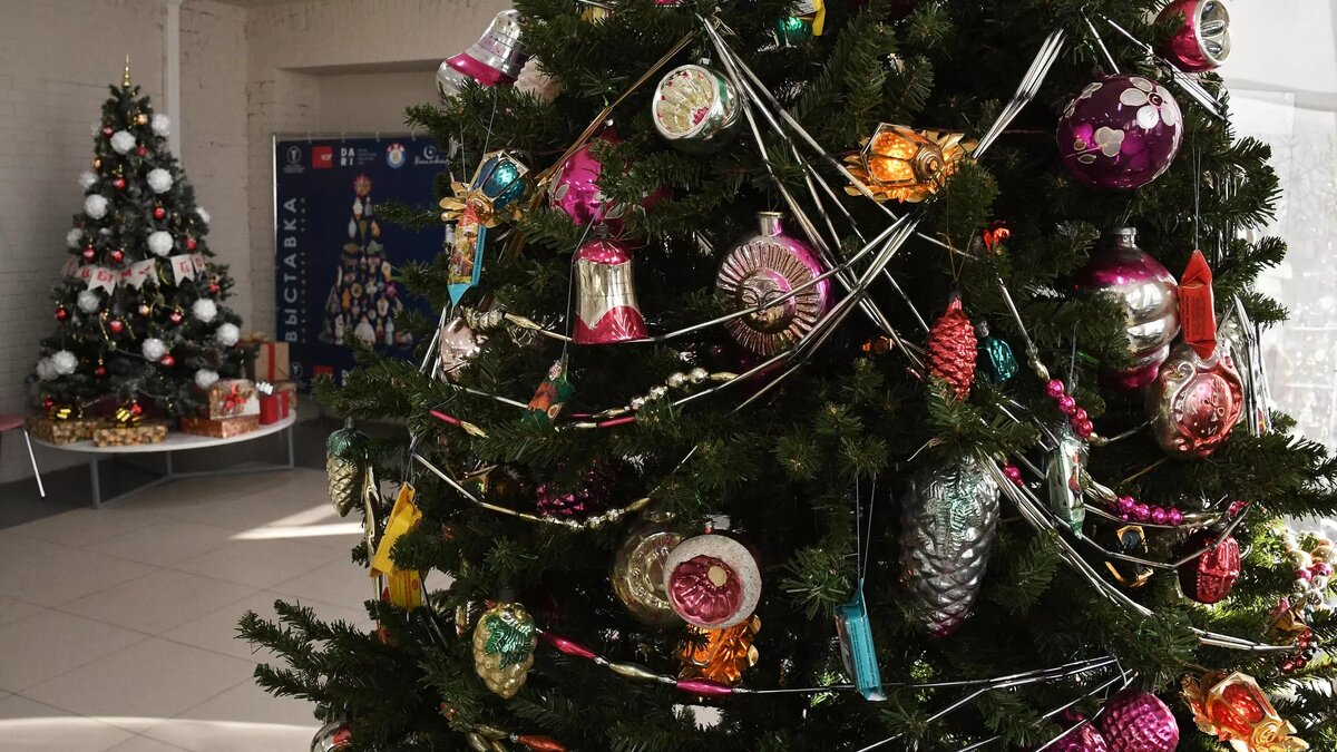 Фото: РИА Новости / Виталий Аньков