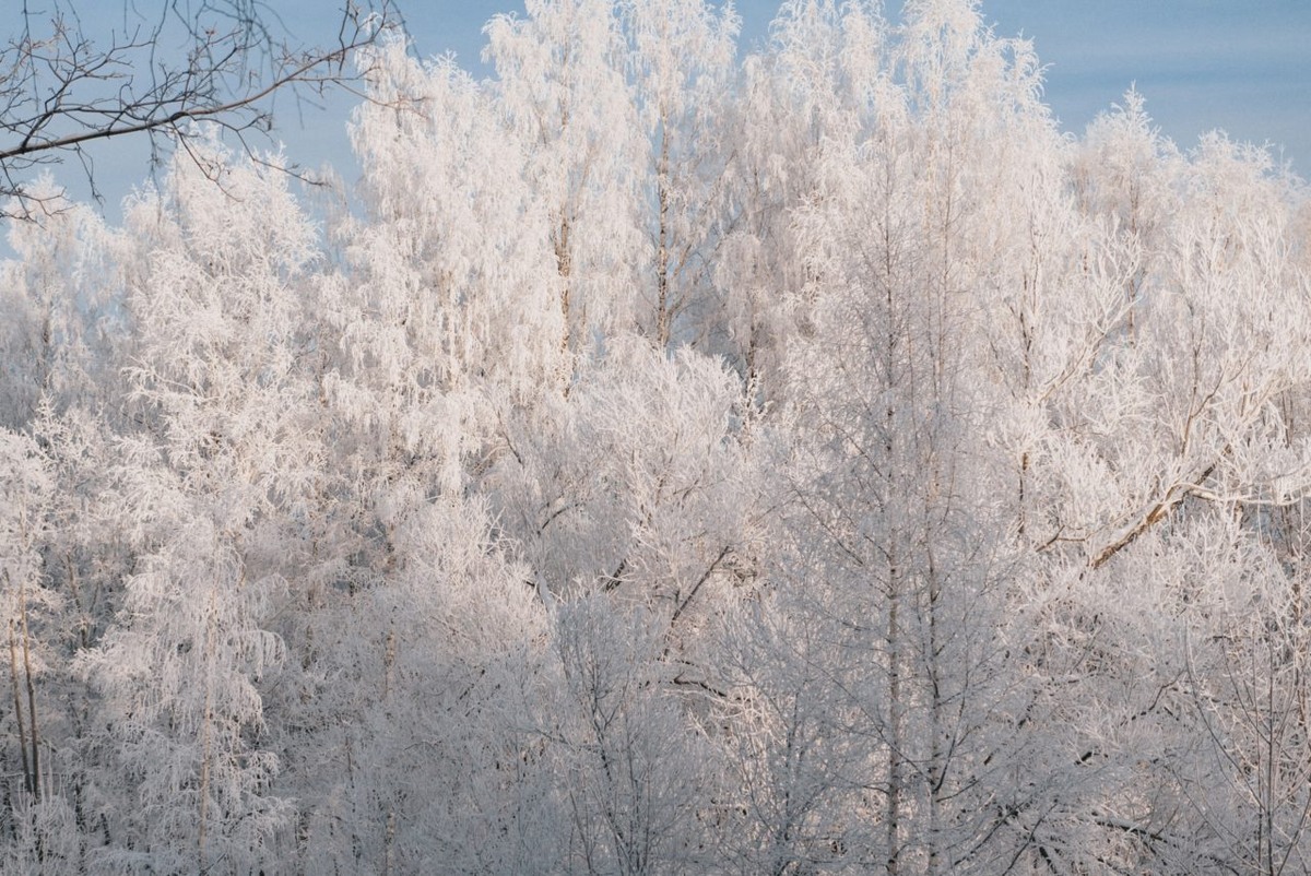    Фото: "Республика" / Лилия Кончакова