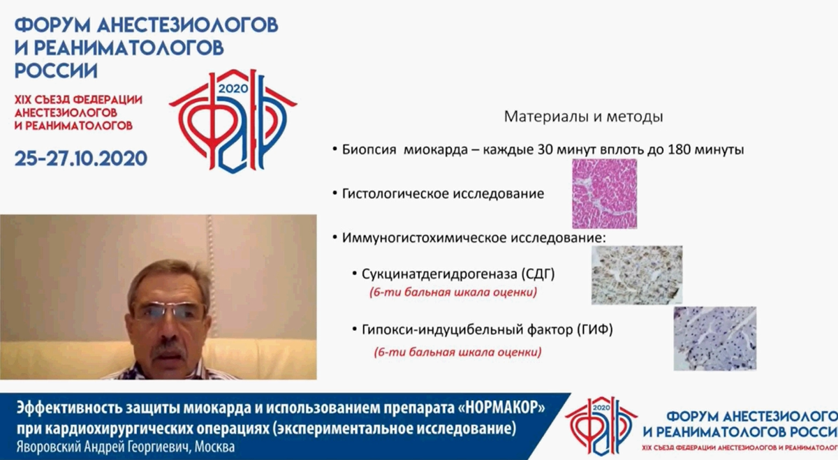 Смотрели гистологию и гистохимию в биопсиях миокарда каждые 30 минут
