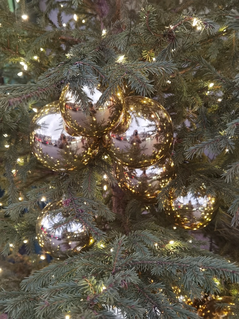 фото Екатерины Иртеговой