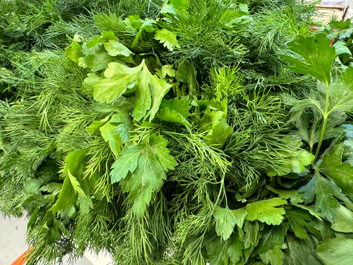 Фото: © Alexander Legky/ Global Look Press