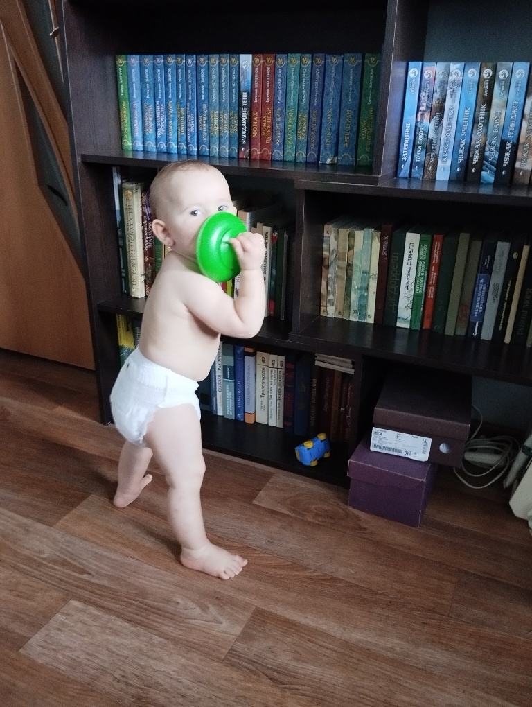 Мелкая ещё в школе, а мелокий громит гостиную под присмотром бабули.    