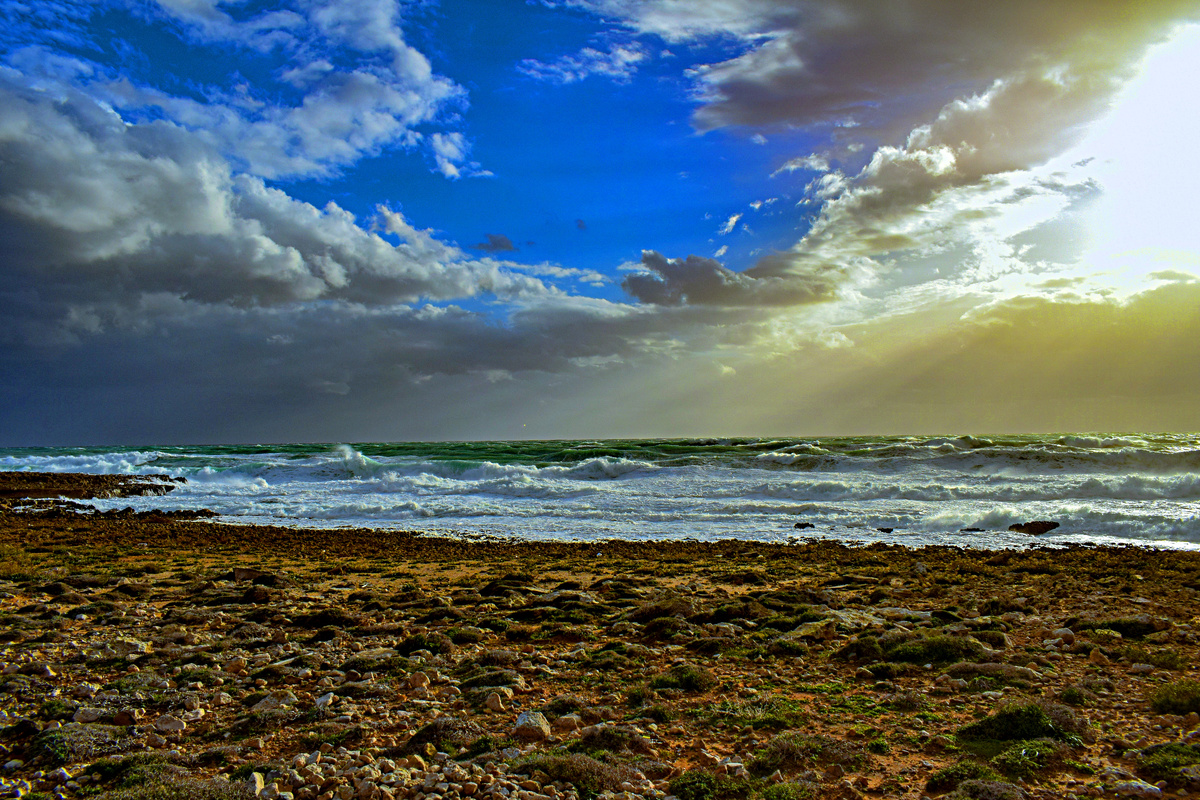 Фото взято из интернета.