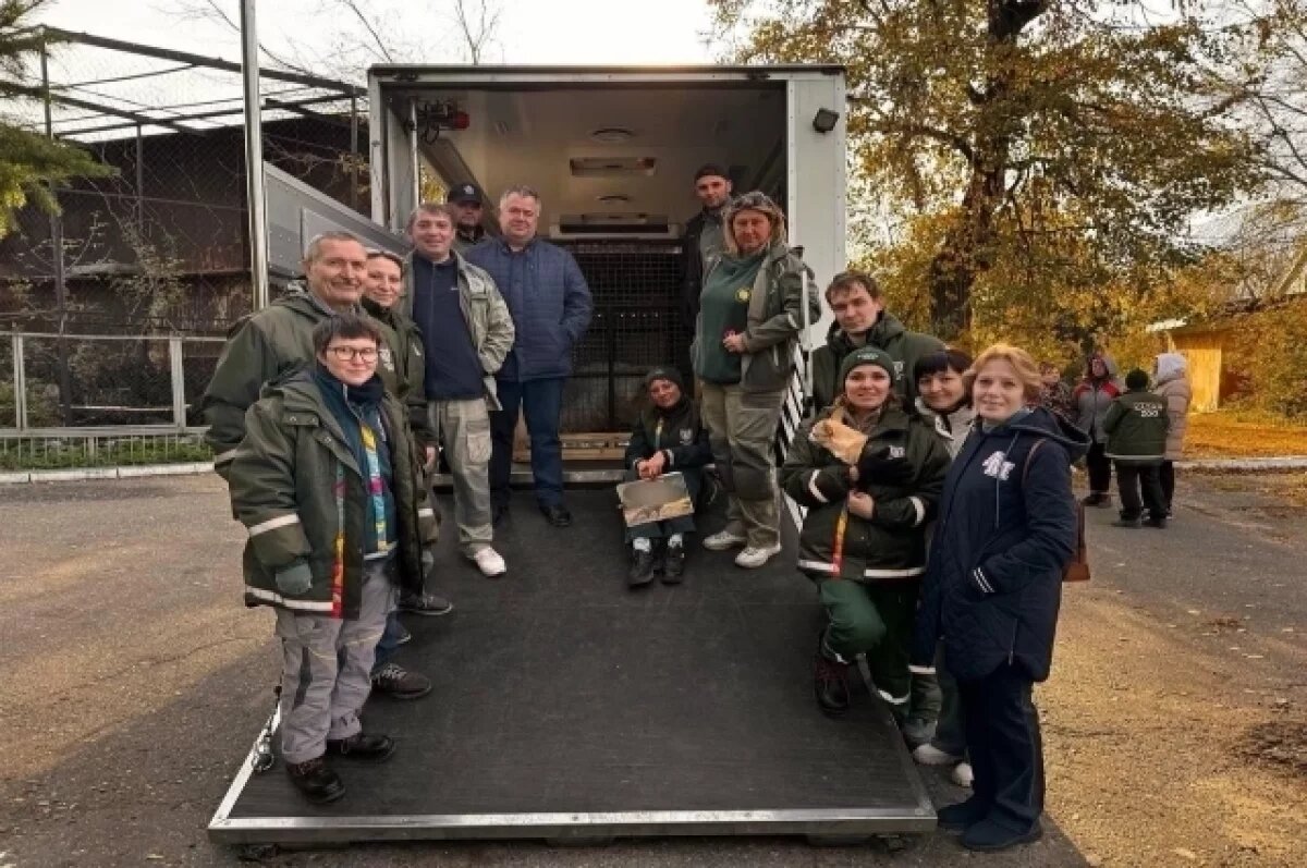    Стало известно, как медведь Терпей проживает в московском зоопарке