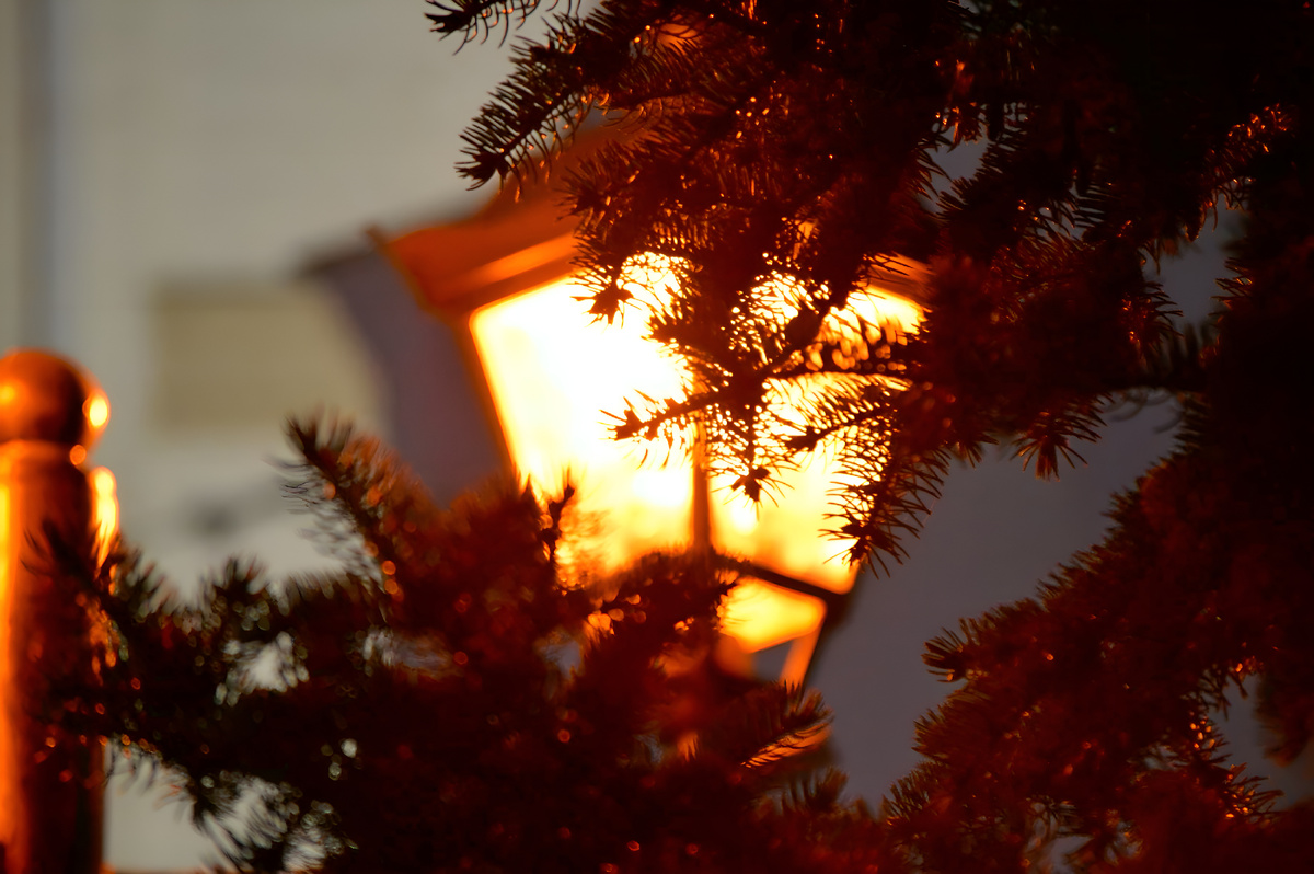 Уютная осень